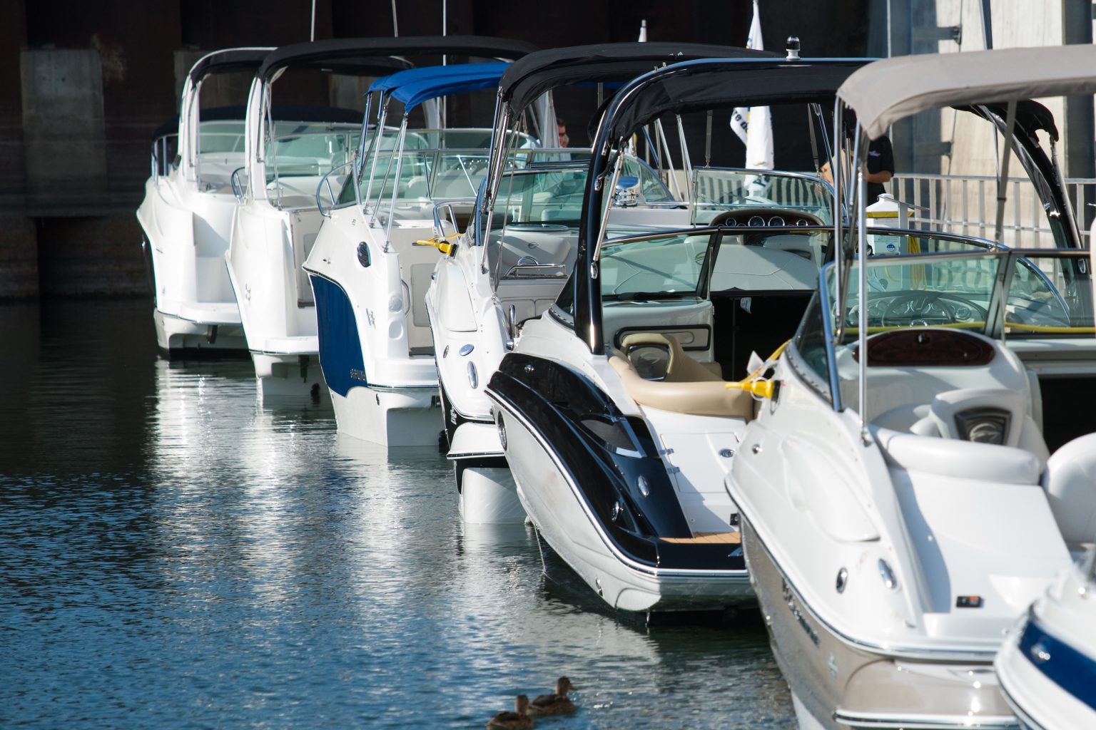 Boat Inspections and Marine Surveys Seaworthy Inspections